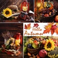 Hello autumn collage with seasonal flowers and fruits in rustic style photos Royalty Free Stock Photo