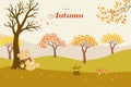 Hello autumn with colorful leaves and cute sleeping bear on flat style Royalty Free Stock Photo