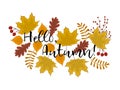 Hello Autumn concept. Autumn background with leaves of maple, oak, birch and other trees