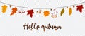 Hello Autumn concept colorful leaves. Autumn leaves decoration garland. Autumn leaves banner for seasonal promotion. Vector Royalty Free Stock Photo