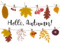 Hello Autumn concept. Autumn leaves, flower and berries hang on the clotheslines