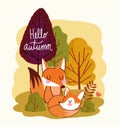 hello autumn couple foxes