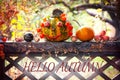 Hello, autumn. Decorated pumpkin on a natural background.