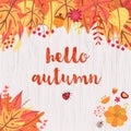 Hello autumn design. Royalty Free Stock Photo
