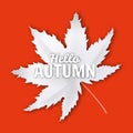 Hello Autumn fall leaf white monochrome. Autumn maple leaf isolated. Vector illustration Royalty Free Stock Photo