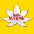Hello Autumn fall leaf white monochrome. Autumn maple leaf isolated. Vector illustration Royalty Free Stock Photo