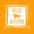 Hello autumn in frame with leaves Royalty Free Stock Photo