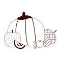 Hello autumn, fresh pumpkin apple acorn berry and pine cone cartoon white background line style