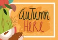 Hello autumn, fruits foliage nature, seasonal template with inscription