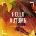 Hello autumn, goodbye summer