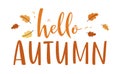 Hello Autumn hand drawn lettering text with splash and leaves.  Handwritten fall vector illustration isolated on white background Royalty Free Stock Photo