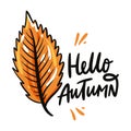 Hello Autumn hand drawn vector illustration and lettering. Isolated on white background. Royalty Free Stock Photo