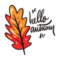 Hello Autumn hand drawn vector illustration and lettering. Isolated on white background. Royalty Free Stock Photo
