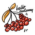 Hello Autumn hand drawn vector illustration and lettering. Isolated on white background. Royalty Free Stock Photo