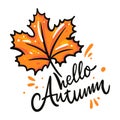 Hello Autumn hand drawn vector illustration and lettering. Isolated on white background. Royalty Free Stock Photo