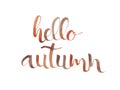 Hello, Autumn. Hand written lettering. Phrase isolated white background. Fall calligraphy