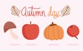 Hello autumn, harvest pumpkin apple mushroom and berry icons