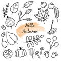 Hello Autumn. Autumn harvest symbols. Set of autumn elements: leaves, berries, fruits, vegetables, mushrooms, acorns. Hand-drawn Royalty Free Stock Photo
