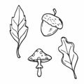 Hello Autumn. Autumn harvest symbols. Set of autumn elements: leaves, mushrooms, acorns. Hand-drawn, sketch. Vector illustration Royalty Free Stock Photo