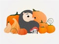 Hello autumn illustration, cute hedgehog sitting among the harvest of pumpkins and mushrooms Royalty Free Stock Photo