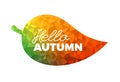 Hello autumn, leaf with colorful geometrical triangle fill,