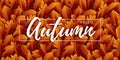 Hello Autumn, leaves with lettering. Seamless background. Royalty Free Stock Photo