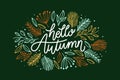hello autumn lettering background with leaves vector design Royalty Free Stock Photo