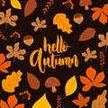 hello autumn lettering background with leaves vector design Royalty Free Stock Photo