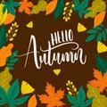 hello autumn lettering background with leaves vector design Royalty Free Stock Photo