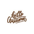 hello autumn lettering background with photo vector design Royalty Free Stock Photo