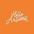 hello autumn lettering background with photo vector design Royalty Free Stock Photo