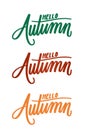 hello autumn lettering background with realistic leaves vector design Royalty Free Stock Photo
