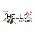 Hello autumn lettering. Berries and leaves with text, handwritten phrases with seasonal design elements isolated on white Royalty Free Stock Photo