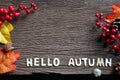Hello Autumn letters. Autumn background and berries, leaves on a wooden background.