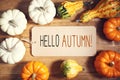 Hello autumn message with collection of pumpkins