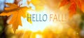 Hello autumn message with falling leaves in autumnal park. Fall banners background design Royalty Free Stock Photo