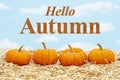 Hello Autumn message with orange pumpkins on straw hay