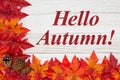 Hello Autumn message with red and orange fall leaves with pine cones on weathered wood