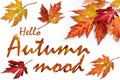 Hello autumn mood background isolated on white Royalty Free Stock Photo