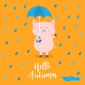 Hello autumn. Pig holding blue umbrella. Rain drops, puddle. Angry sad emotion. Hate fall. Cute funny cartoon baby character. Pet Royalty Free Stock Photo