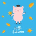 Hello autumn. Pig piglet Graduation hat Academic Cap Orange red fall leaf. Happy surprised emotion. Cute funny cartoon baby charac Royalty Free Stock Photo