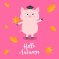 Hello autumn. Pig piglet Graduation hat Academic Cap Orange red fall leaf. Happy surprised emotion. Cute funny cartoon baby charac