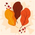 hello autumn poster with set leafs Royalty Free Stock Photo