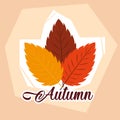 hello autumn poster with set leafs Royalty Free Stock Photo