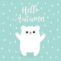 Hello autumn. Rain drop. Polar white small little bear cub.