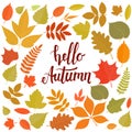 Hello autumn, round frame