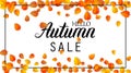 Hello autumn sale lettering banner. Special offer discount poster with fall golden leaves. Autumn seasonal design Royalty Free Stock Photo