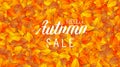 Hello autumn sale lettering banner. Special offer discount poster with fall golden leaves. Autumn seasonal design Royalty Free Stock Photo