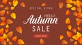 Hello autumn sale lettering banner. Special offer discount poster with fall golden leaves frame. Autumn seasonal design Royalty Free Stock Photo