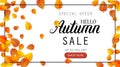 Hello autumn sale lettering banner. Special offer discount poster with fall golden leaves. Autumn seasonal design Royalty Free Stock Photo